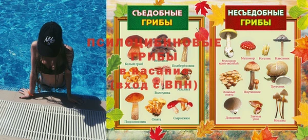 ALPHA PVP Алзамай
