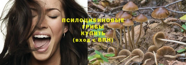 круглые Алексеевка