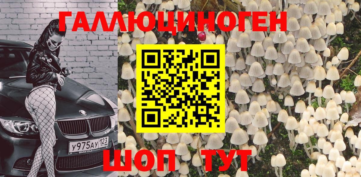 Набережные Челны  Галлюциногенные грибы ЛСД  Вход с VPN  Галлюциногенные грибы мицелий 
